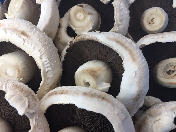 Local fresh mushrooms from IGA Thirroul in the Illawarra